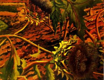 Stanley Spencer : Flowering Artichokes